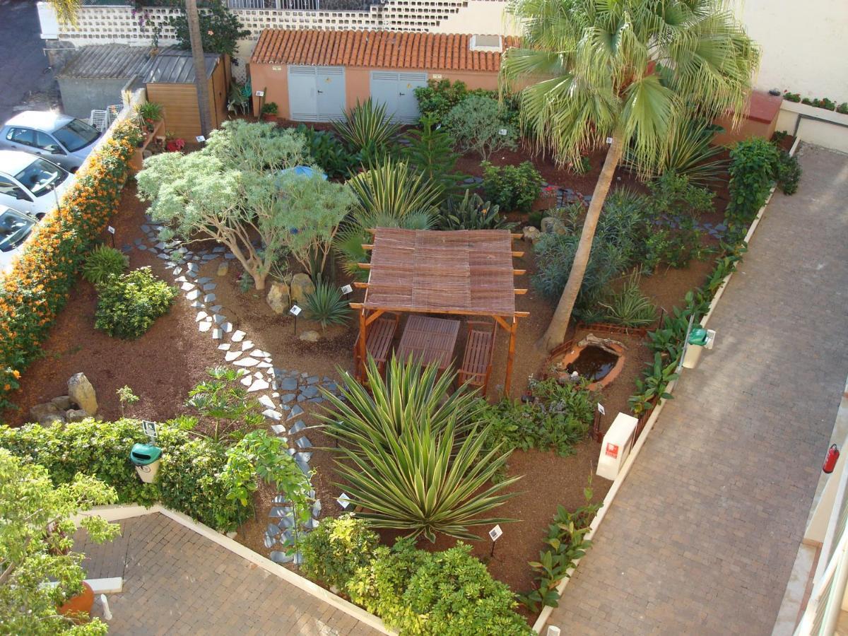Hapimag Ferienwohnungen Puerto De La Cruz Exterior photo